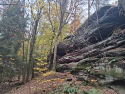 Wanderung Lindelbrunn Nov 2025